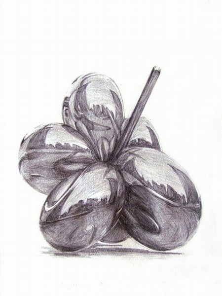 n_Sketch SI850486.jpg